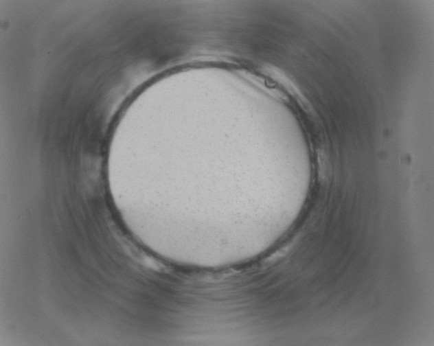 X0000077351260200611101605