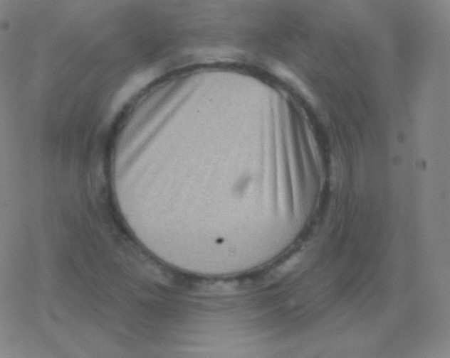 X0000077351261200611101605