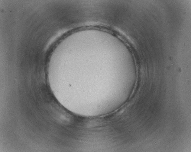 X0000077351262200611101605