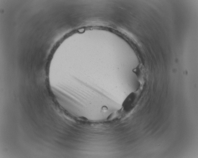 X0000077351264200611101605