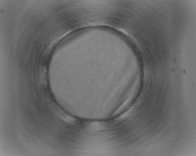 X0000077351265200611101605