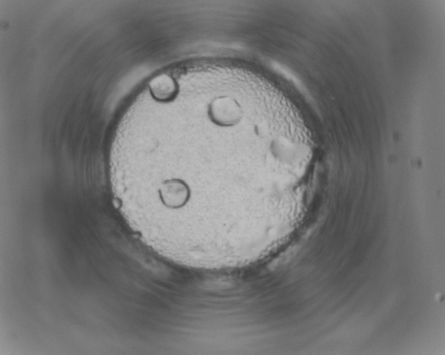 X0000077351267200611101605