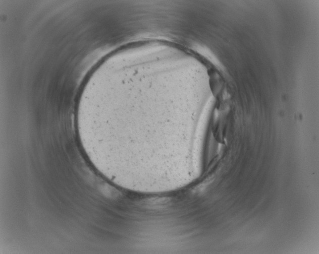 X0000077351268200611101605