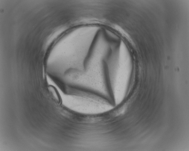 X0000077351269200611101605