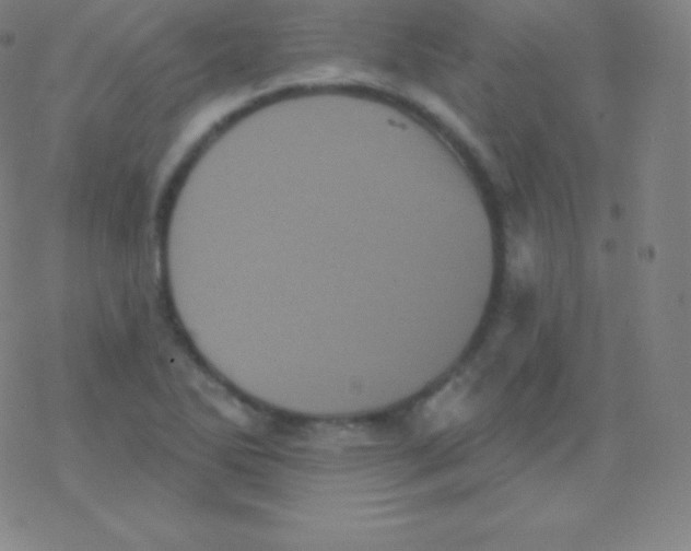 X0000077351270200611101605