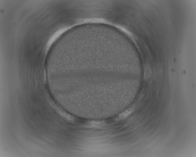 X0000077351271200611101605