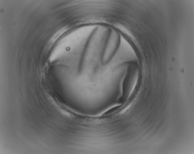 X0000077351273200611101605