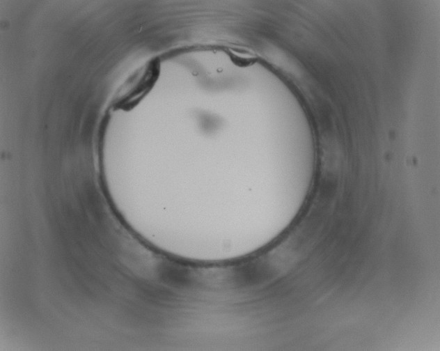 X0000077351280200611101605