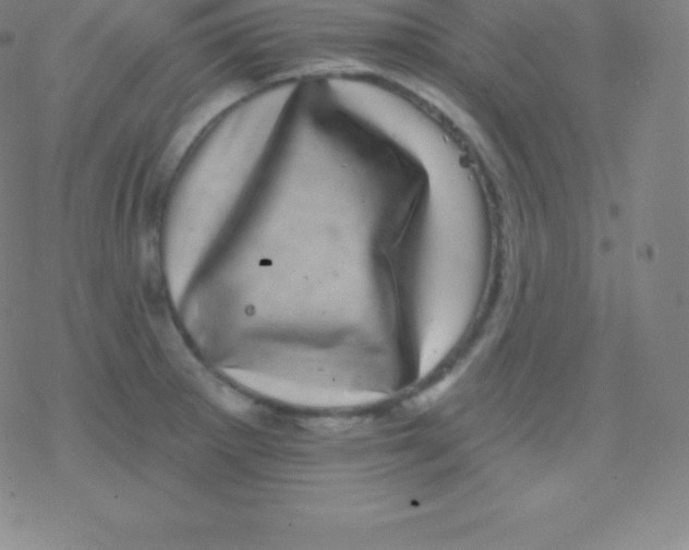 X0000077351281200611101605