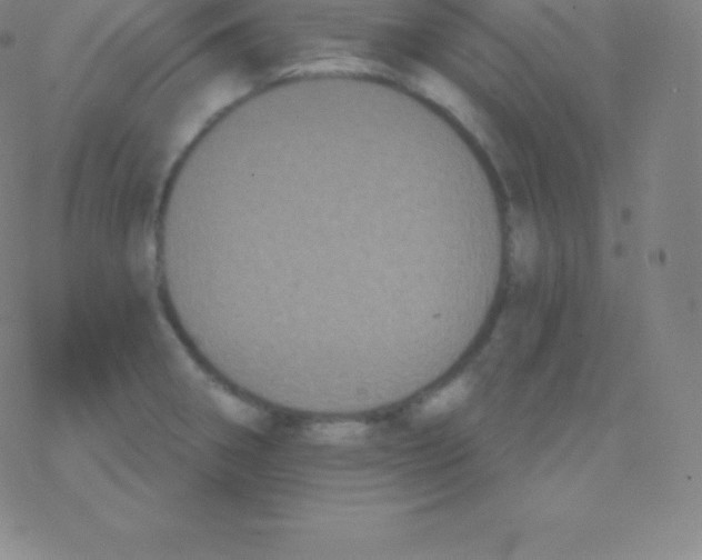 X0000077351282200611101605