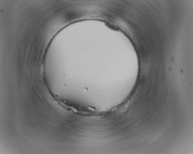 X0000077351284200611101604