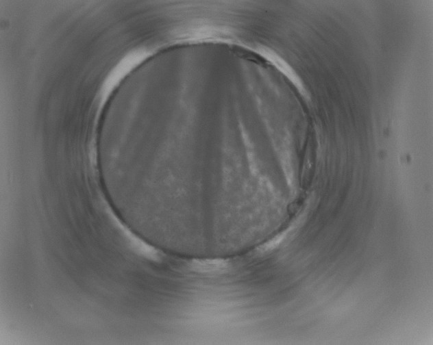 X0000077351285200611101604