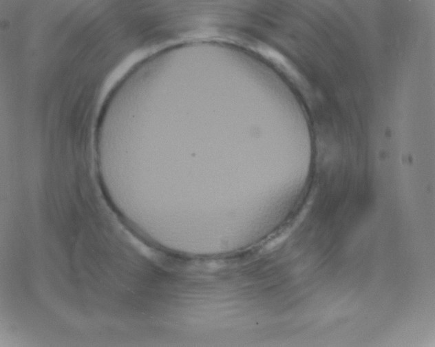 X0000077351286200611101604