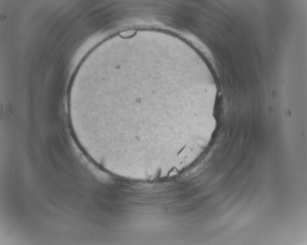 X0000077351287200611101604