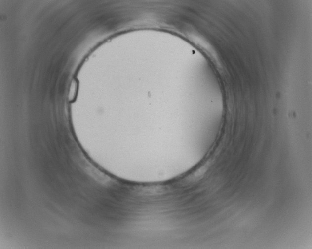 X0000077351288200611101604