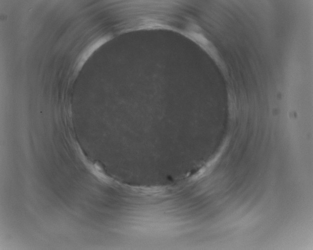 X0000077351289200611101604