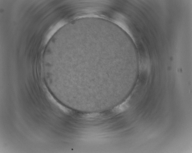 X0000077351290200611101604