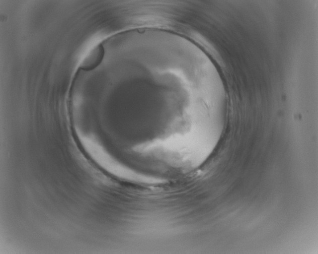 X0000077351291200611101604