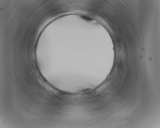 X0000077351292200611101604