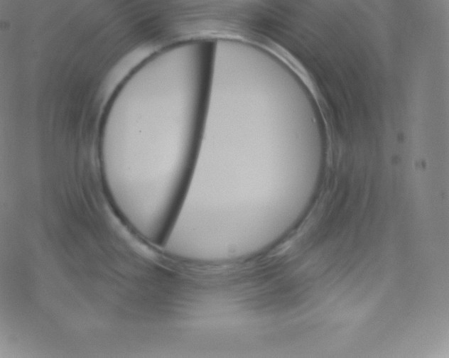 X0000077351293200611101604