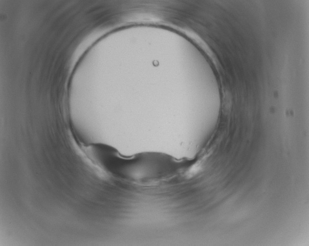 X0000077351295200611101604