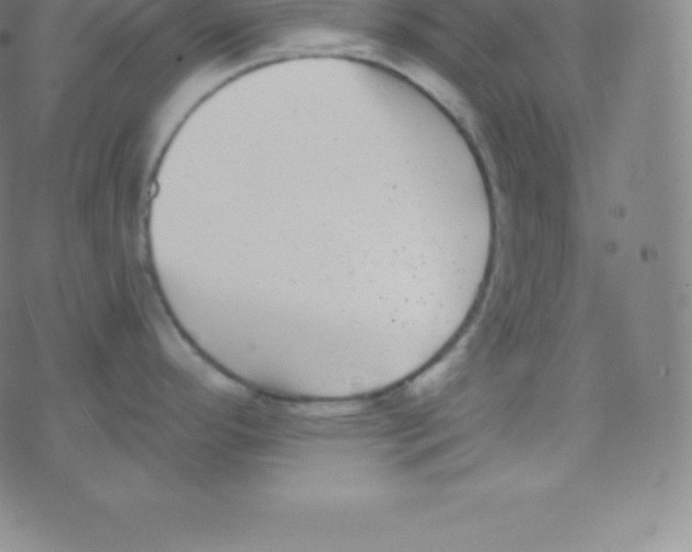 X0000077351296200611101604