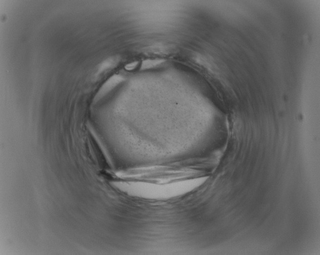 X0000077351297200611101604