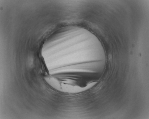 X0000077351300200611101604