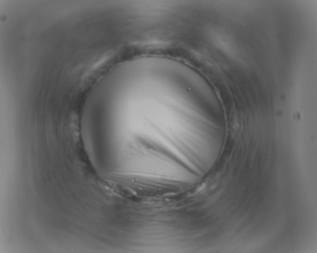 X0000077351301200611101604