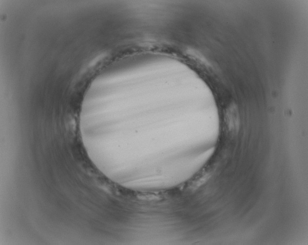 X0000077351302200611101604