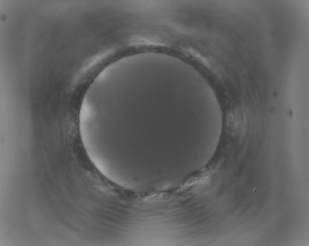 X0000077351303200611101604