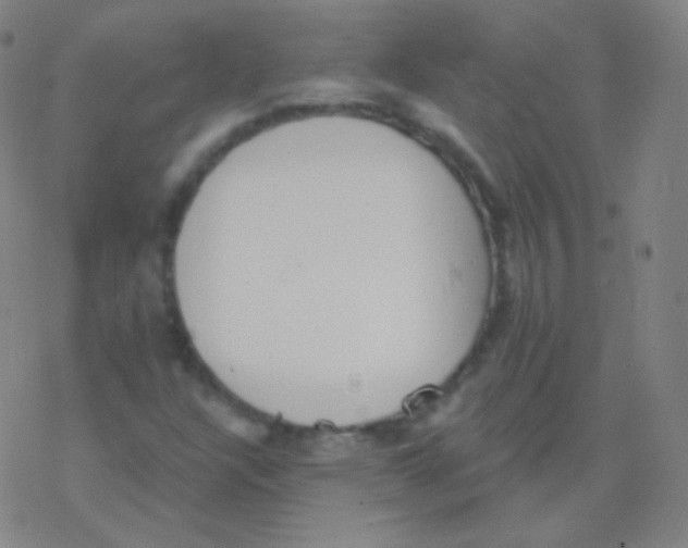 X0000077351304200611101604