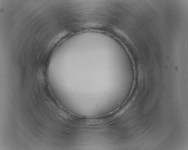 X0000077351305200611101604