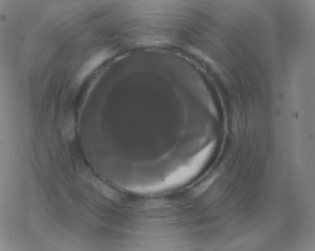 X0000077351306200611101604