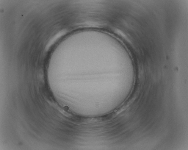 X0000077351307200611101604