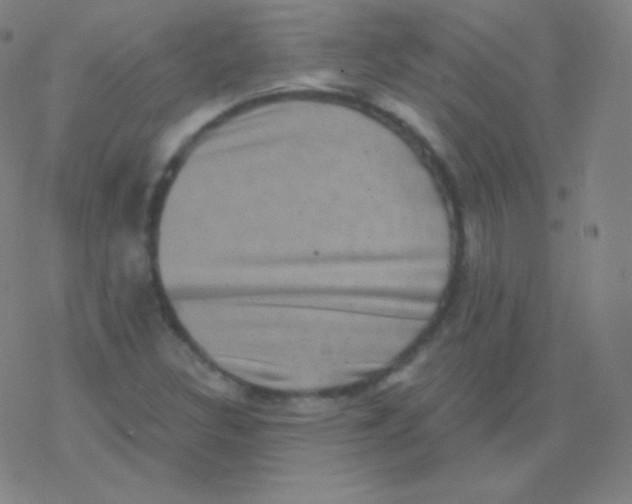 X0000077351308200611101604