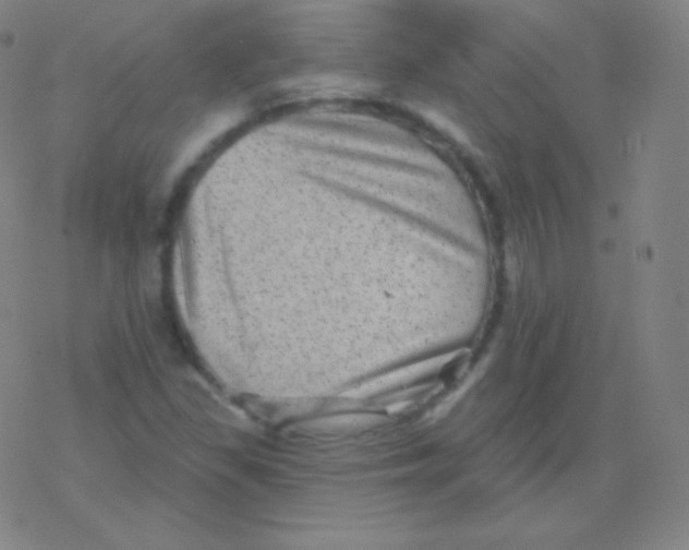 X0000077351309200611101604