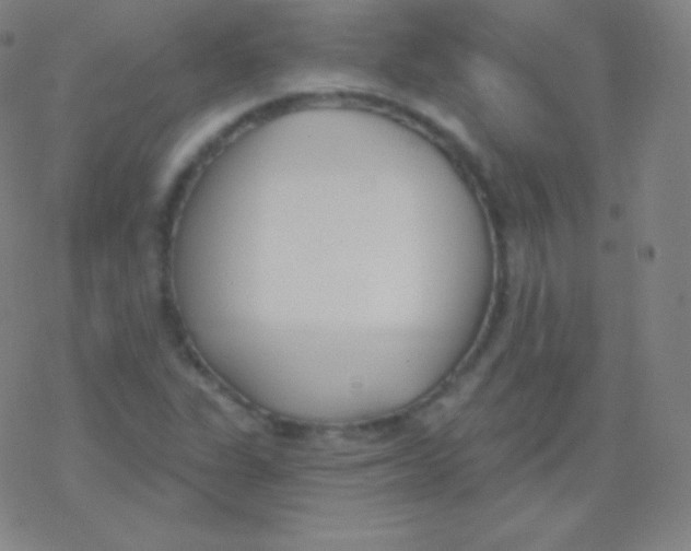 X0000077351311200611101604