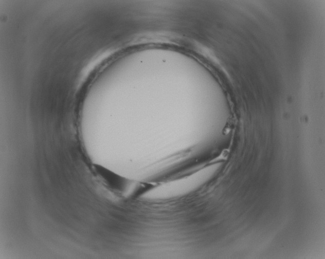 X0000077351312200611101604