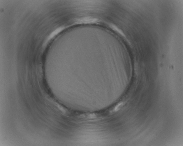 X0000077351315200611101604