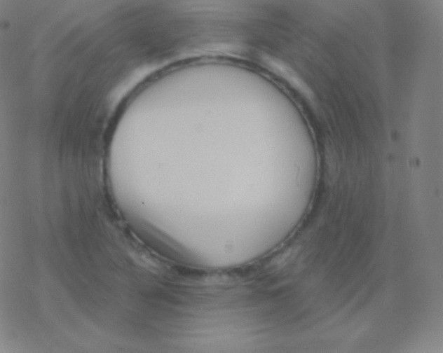 X0000077351316200611101604