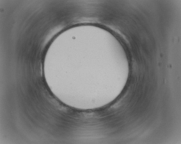 X0000077351317200611101604