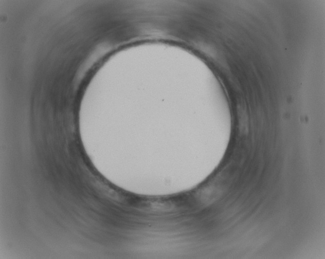 X0000077351318200611101604