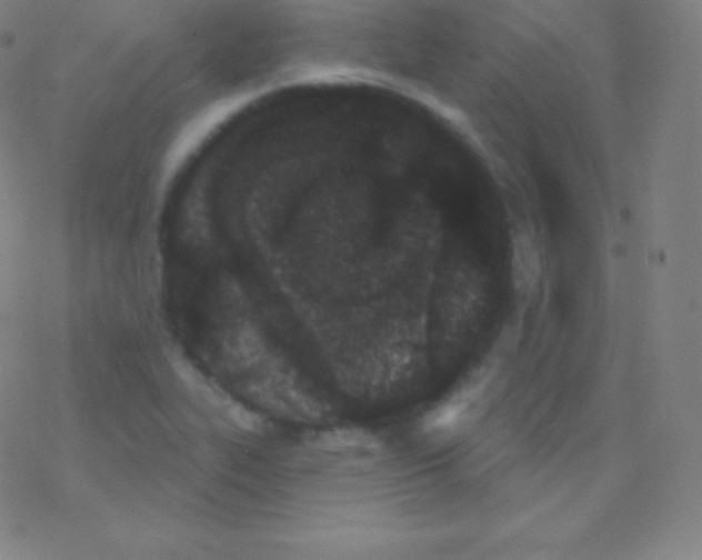 X0000077351319200611101604