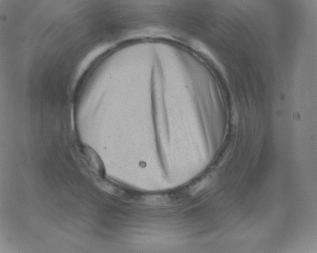 X0000077351320200611101604