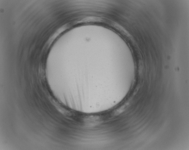 X0000077351321200611101604