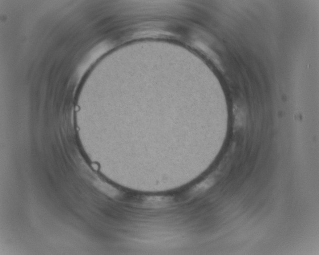 X0000077351322200611101604