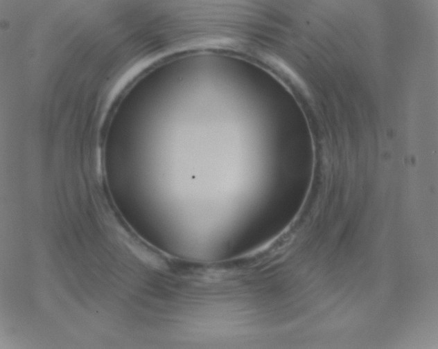 X0000077351324200611101604