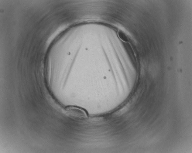 X0000077351325200611101604