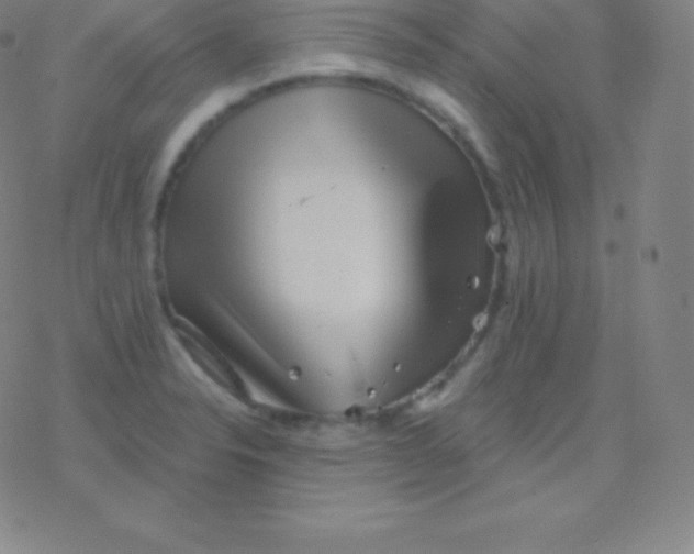 X0000077351326200611101604